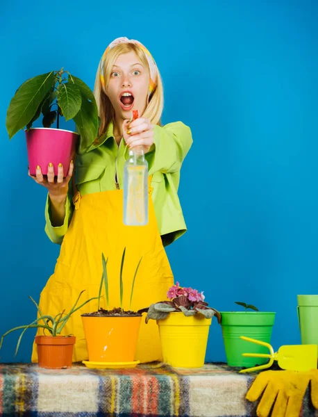 Woman planting flowers in pot. Watering flowers. Gardener woman planting flowers. Cute blonde gardening at isolated background. — Stock Photo, Image