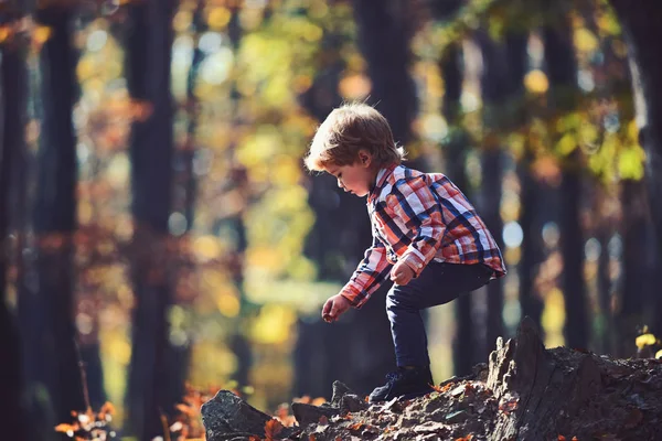 Barn spela i höst skog. Barn på frisk luft utomhus — Stockfoto