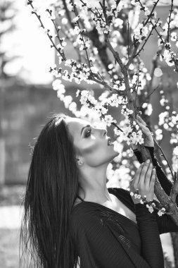 Çiçek açan kayısı kadınla