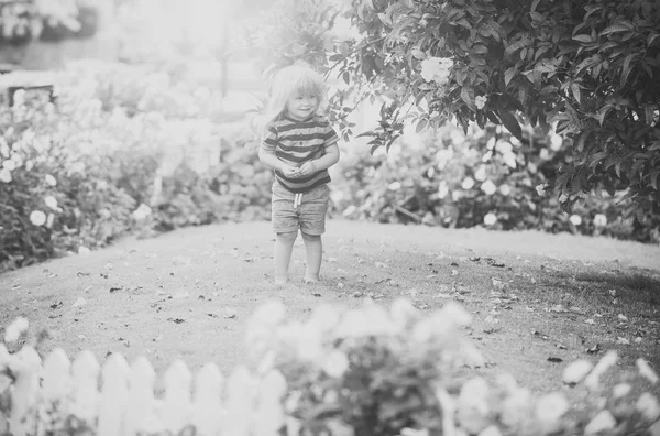 Criança ou menino pequeno feliz ao ar livre perto de cerca de madeira branca — Fotografia de Stock