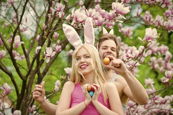 Primavera, naturaleza, medio ambiente . — Foto de Stock