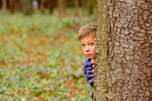 Transforming fear into freedom. Little boy feel nasty fear to be lost in wood. Little boy hide behind tree in fear. Courage is the triumph over fear Stock Picture