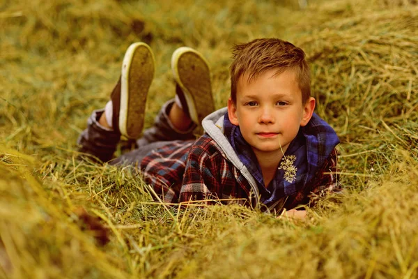 Mein Eigenes Vergnügen Kleiner Junge Entspannt Sich Auf Dem Weizenfeld — Stockfoto