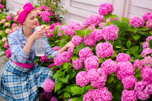 Счастливая женщина садовница с цветами. Парниковые цветы. Уход за цветами и полив. почвы и удобрения. гортензии. Весна и лето. женщина ухаживает за цветами в саду. Уход за растениями — стоковое фото