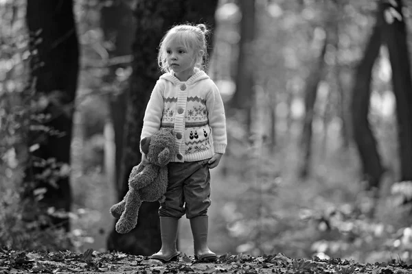 Kid com brinquedo desfrutar de ar fresco ao ar livre. Menina na floresta de outono. Criança com ursinho de pelúcia em bosques de contos de fadas. Infância, jogo, diversão, descanso ativo e atividade — Fotografia de Stock