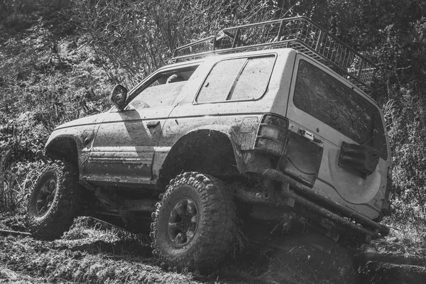 Off road vehicle overcomes track on country road in forest. — Stock Photo, Image