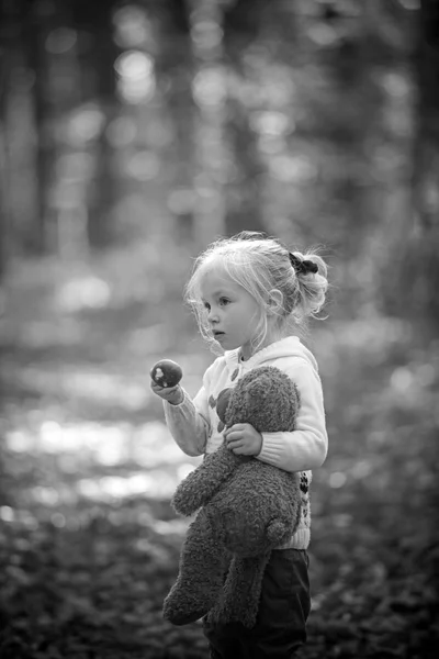 Adorable niña con oso de peluche al aire libre en hermoso día de otoño —  Fotos de Stock