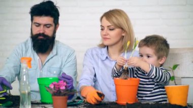 Oğlan çiçeği elinde tutar ve bu yere dökülen. Fidan kavramı. Çocuk anne bitki çiçek yardımcı olur. Mutlu Bahçe Aile. Tencere çiçek dikim.