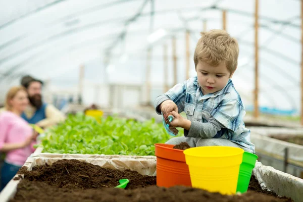 mutlu bir aile. mutlu aile workign toprak Bahçe ile. sera içinde mutlu bir aile. mutlu aile çiftliğinde. yeni bir hayat.