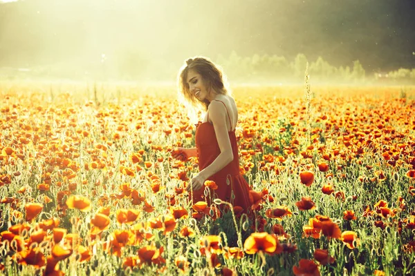 Woman or happy girl in field of poppy seed — Stock Photo, Image