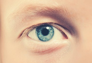 Doğal güzellik bakmak ve hiçbir makyaj. Hiç makyaj ile göz. Sarışın kirpik ve kaş ile mavi göz
