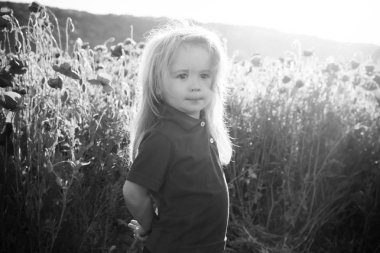 küçük çocuk veya çocuk alanında haşhaş tohumu