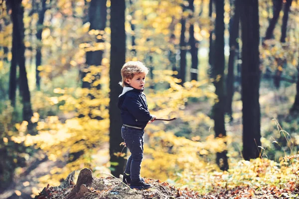 Дети играют на свежем воздухе на открытом воздухе. Маленький мальчик играет в осеннем лесу. Осенний отдых и кемпинг. Маленький принц в сказочном лесу. Активность и активный отдых для ребенка — стоковое фото