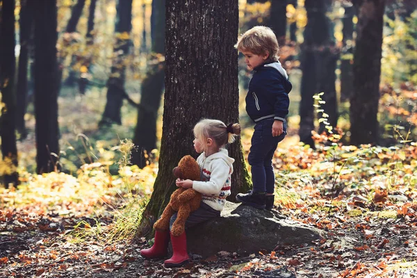 Kids hareket ve aktif dinlenme. Kız ve erkek kardeşim temiz hava iyi eğlenceler. Çocuk sonbahar ormanda oyun. Çocukluk ve çocuk dostluk, sevgi ve güven. Küçük oğlan ve kız ormanda kamp arkadaşları — Stok fotoğraf