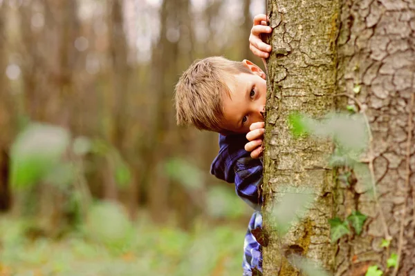 Spying is exciting. Small spy. Small child hide behind tree in forest. Small boy play guessing game. I spy with my little eye Stock Photo