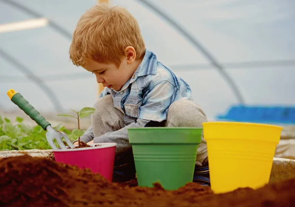 Trädgårdsredskap. liten pojke jordbrukare arbetar med trädgårdsredskap. trädgårdsredskap för plantering i växthus. trädgårdsredskap shop. mitt jobb är min passion. — Stockfoto