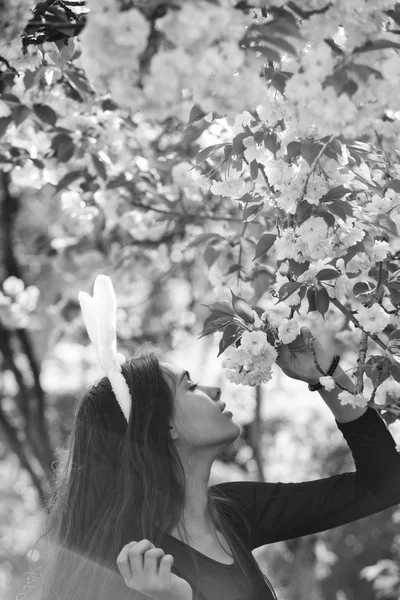 Woman with rosy bunny ears smelling sakura flowers from tree — Stock Photo, Image