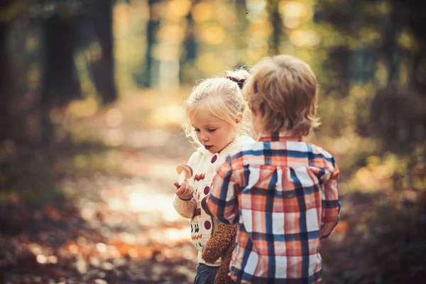 Criação e desenvolvimento precoce. As crianças colhem cogumelos na floresta de outono. Menino e menina amigos acampar na floresta. Alimentos orgânicos e saudáveis. Infância e amizade infantil — Fotografia de Stock