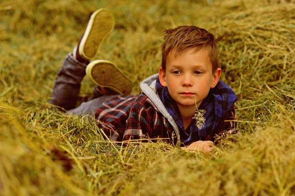 Mellow herfst. Kleine jongen ontspannen in het hooi. Kleine jongen genieten van de herfstvakantie op platteland. De rijpheid van de herfst — Stockfoto