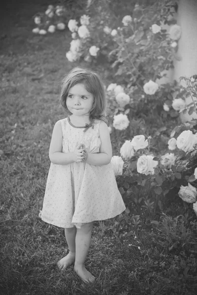 Девушка с молитвенными руками в летнем саду — стоковое фото