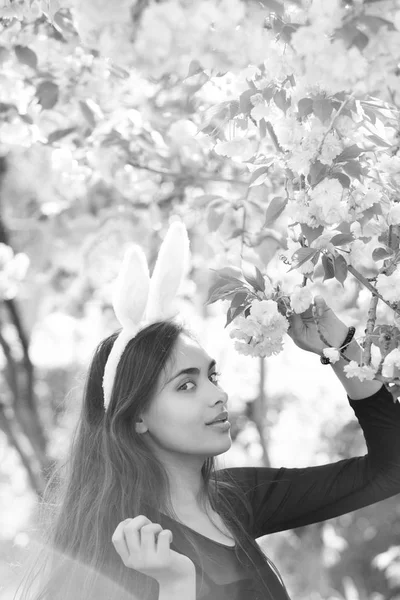 Bunny oren op vrouw met sakura Lentebloemen — Stockfoto