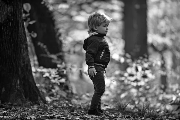Menino pequeno na floresta de outono. Crianças brincam ao ar livre. Pequeno príncipe nos bosques de contos de fadas. Férias de outono e camping. Atividade e descanso ativo para criança — Fotografia de Stock