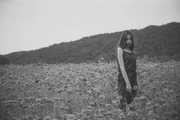 Güzellik, yaz, ilkbahar, haşhaş tohumu.