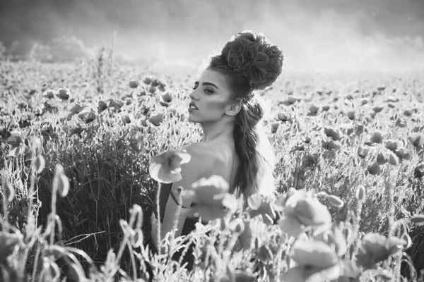 Ragazza nel campo dei semi di papavero — Foto Stock