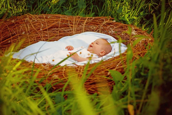 Happy baby i korg babysäng. Lite baby glada leende vaken. Liten flicka eller pojke koppla av på grönt gräs. Lycklig barndom. Glad och sorglös — Stockfoto