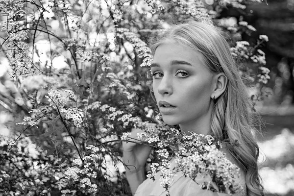 Chica en la cara de ensueño, rubia tierna cerca de las ramas con flores blancas, fondo de la naturaleza. Lady camina en el parque el soleado día de primavera. Concepto de primavera. Mujer joven disfrutar de flores en el jardín . — Foto de Stock