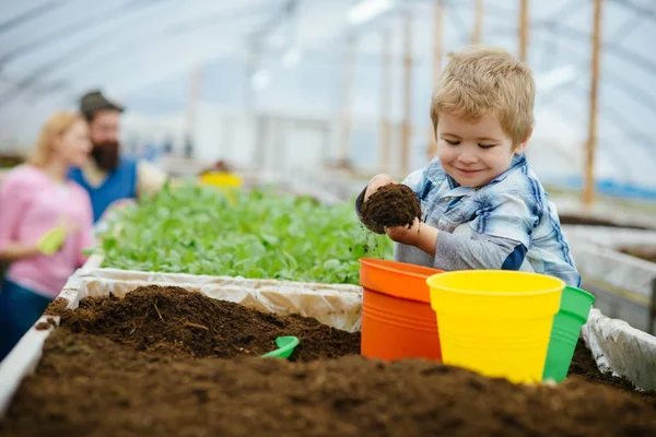 幸せな子。幸せな子供の庭の土壌を workign。温室効果で幸せな子。ファームでの家族と一緒に幸せな子。植物と彼の仕事を楽しんでいます。. — ストック写真
