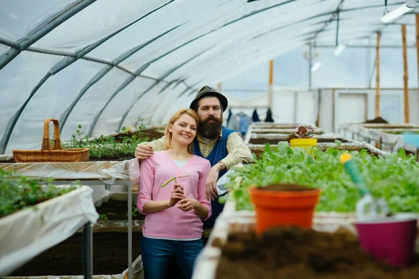 Partnerség. családi üzleti partnerség. partnerség fogalma a hivatásos növénytermesztők. startup üzleti partnerség. dolgozó üzemek. — Stock Fotó