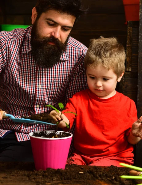 Bearded man and little boy child love nature. happy gardeners with spring flowers. Father and son. Fathers day. Flower care watering. Soil fertilizers. Family day. Greenhouse. Source of beauty — Stock Photo, Image