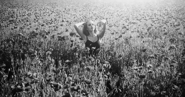 Женщина в поле мака делает селфи фото с телефоном — стоковое фото