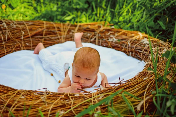 Sono curioso. Neonata o maschio. Cura dei bambini appena nati. Assistenza sanitaria per un bambino sano. La curiosa signora Hoff si e 'fatta strappare il naso — Foto Stock