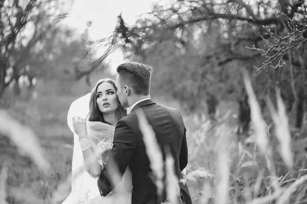 Matrimonio coppia all'aperto — Foto Stock