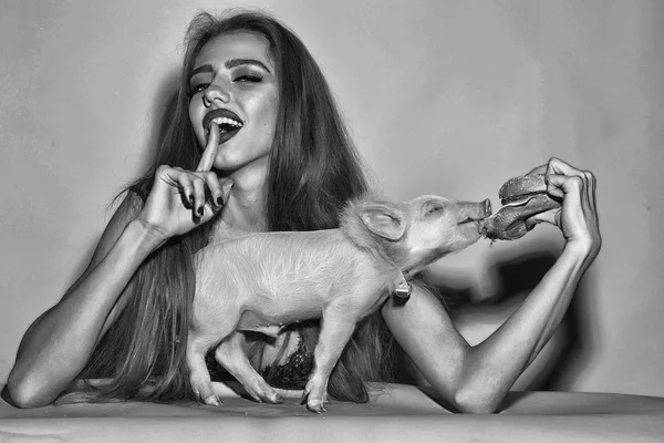Schöne Junge Sinnliche Frau Und Niedliche Rosa Kleines Schwein Haustier — Stockfoto