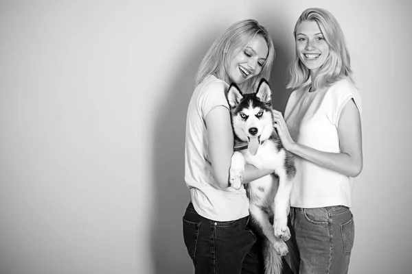 The best dog ever. Pretty women hold pedigree dog. Sexy women with dog pet. Happy girls with sensual look. Husky dog with blue eyes and wolf like look. Happy sisters with family pet, copy space