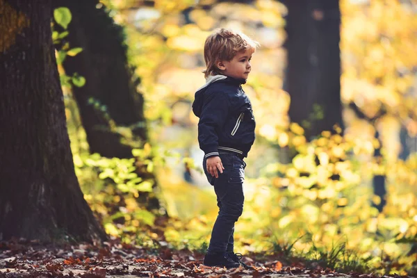 Liten pojke i höst skog. Barn spela på frisk luft utomhus. Lille prinsen i Saga skogen. Höst semester och camping. Aktivitet och aktiv vila för kid — Stockfoto