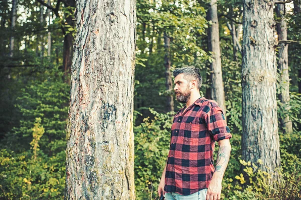 Πλευρά άποψη βάναυση guy μόνιμη επόμενο δέντρο. Γενειοφόρος hipster περιπλάνηση στο δάσος. Κάμπινγκ, έννοια της φύσης — Φωτογραφία Αρχείου