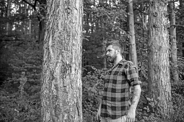 侧视图残酷的家伙站在树旁边。带着胡子的嬉皮士在森林里徘徊。露营, 自然概念 — 图库照片