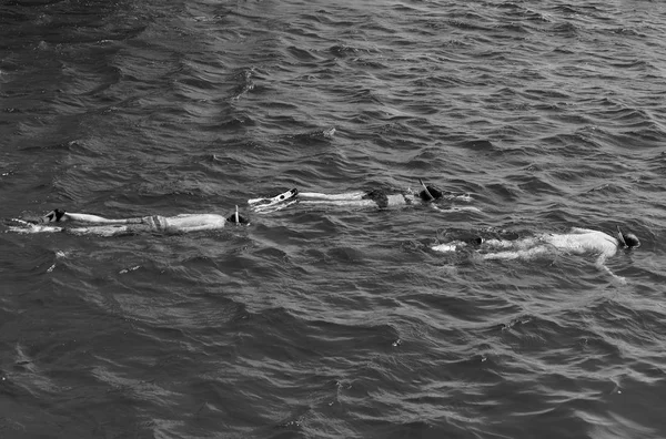 Groupe de personnes ou d'amis nageant sous l'eau dans la mer — Photo