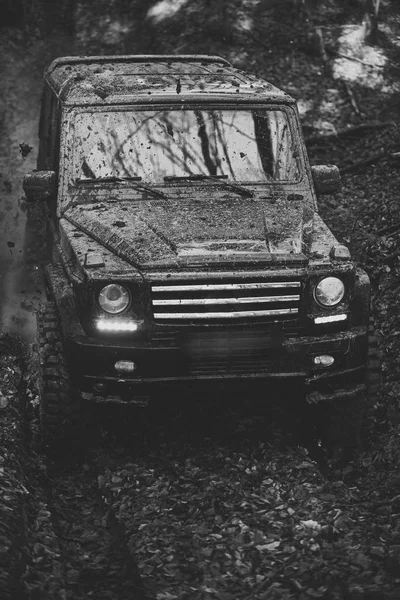 SUV cubierto de barro en el camino cubierto de hojas . — Foto de Stock