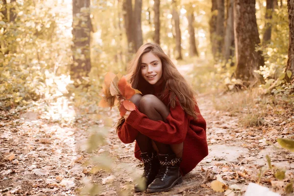 Floresta de outono. Tempo quente e ensolarado. Luz retocada e natural. Obra de arte de menina romântica. Moda outono mulher retrato com folhas de bordo amarelo no fundo da natureza . — Fotografia de Stock