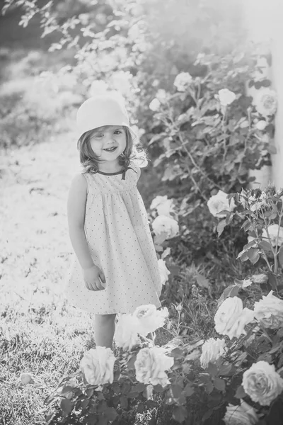 Kind staande op de bloei roze bloemen op groen gras — Stockfoto