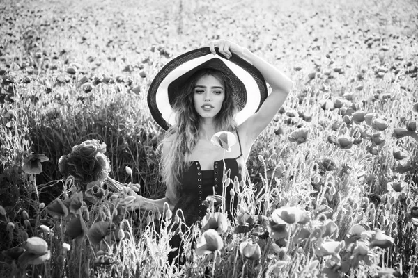 Hermosa chica con sombrero en campo de amapola roja —  Fotos de Stock