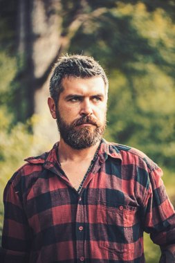 Acımasız oduncu çölde göçebe. Ekolojist orman keşfetmek. Çevre ve doğa koruma kavramı