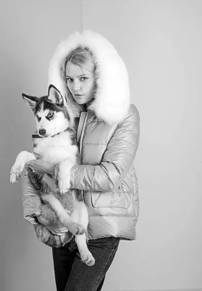 Ik cant mijn poten houden af u. Mooie vrouw houd rashond. Husky hond met de blauwe ogen en wolf willen kijken. Gelukkig model met huisdier. Sexy vrouw met hond huisdier. Gelukkig meisje met sensuele look — Stockfoto