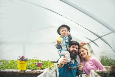 vejetaryen. yeme vejetaryen ve refah. Vejetaryen famnily sera içinde. Vejetaryen Gıda sağlıklı yaşam için. Dünya yeşil yapma.