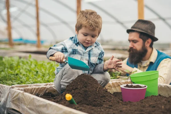 地面を再生します。小さな子供は、地面で遊ぶ。温室の地面で遊ぶ。父と息子は、地面で遊ぶ。庭師. — ストック写真